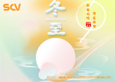 Common Rail A6860-VM09A Fuel Pump SCV Valve.PDF